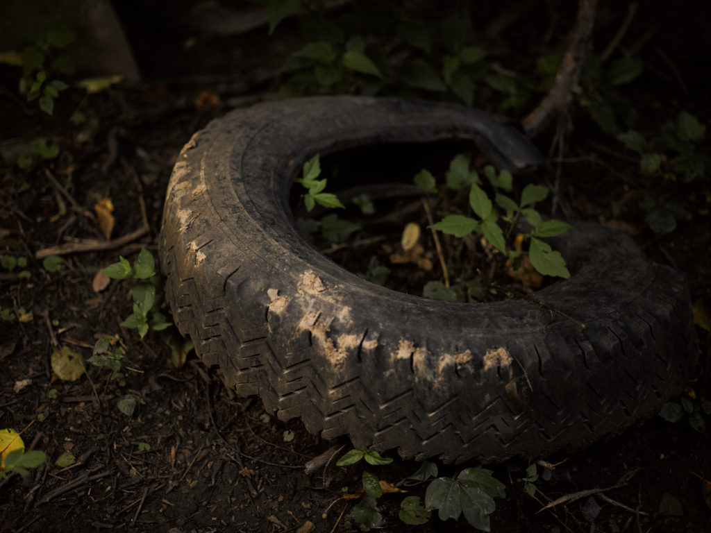 Abandoned tire in a forest