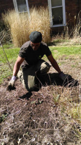 Crew leader Shawn Taylor working on green infrastructure