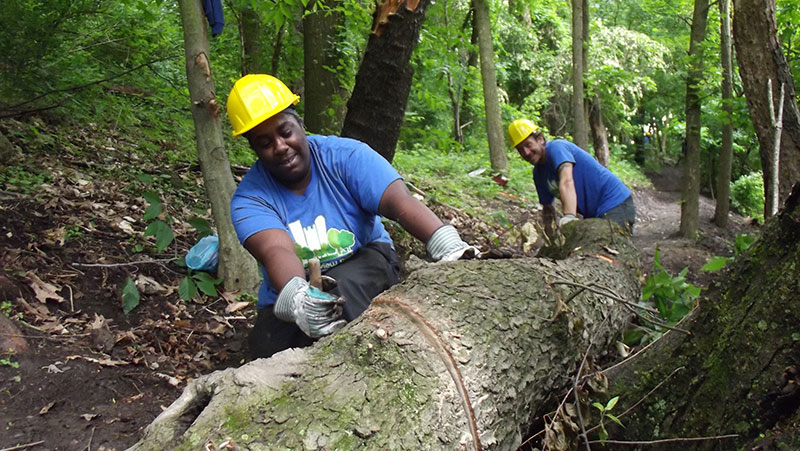 Crew members cutting a fallen tree trunk