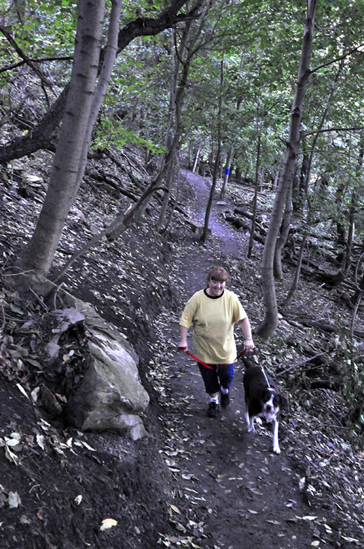 Emerald View Park trail in use