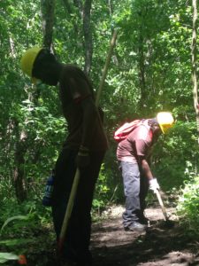 Landforce crews digging tread with trail tools.