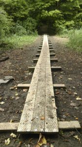 Crouse Run Boardwalk Reconstructed by Landforce